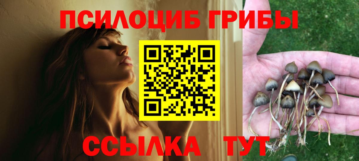 Десногорск  закладка  Вход с VPN  Галлюциногенные грибы Cubensis  Псилоцибиновые грибы мицелий 