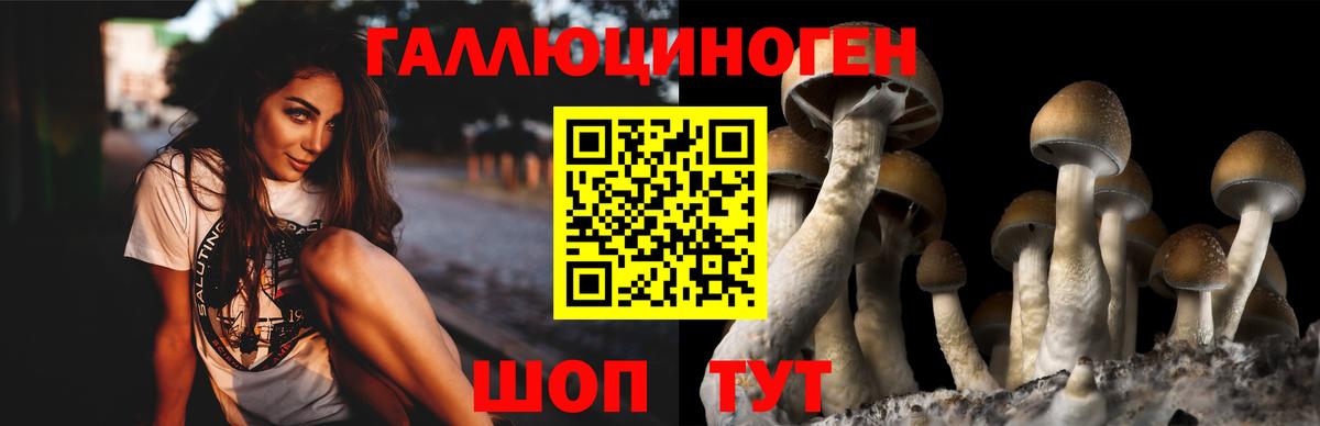 Псилоцибиновые грибы Cubensis Десногорск